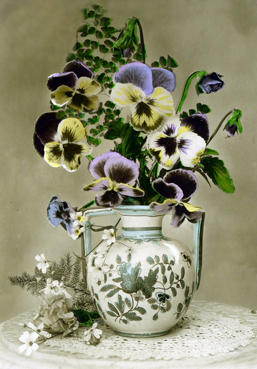 パンジーの花瓶c.1898（手彩色写真）